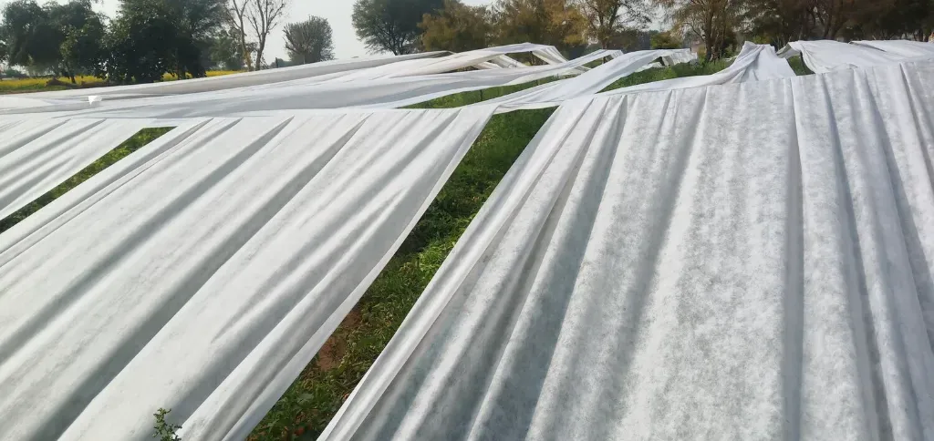 Ochrona przed przymrozkami